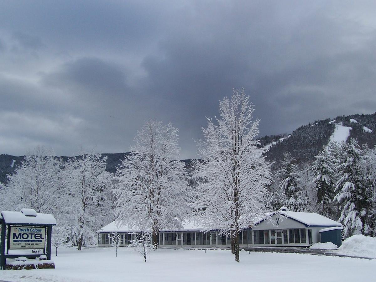 North Colony Motel And Cottages บาร์ทเล็ตต์ ภายนอก รูปภาพ